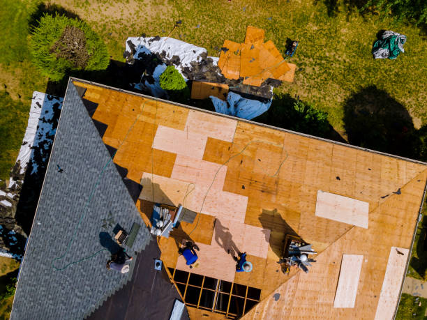 Best Residential Roofing Contractor  in Billings, MT