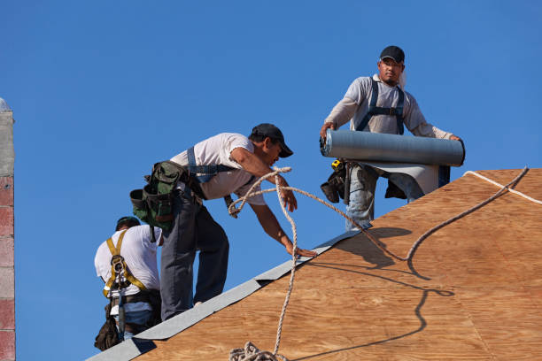 Best New Roof Installation  in Billings, MT